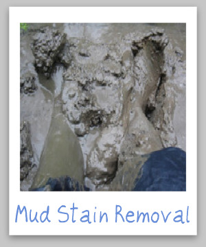 How to remove mud stains from clothes, upholstery and carpet, with step by step instructions {on Stain Removal 101}