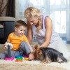 pet playing on carpet