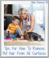 how to remove pet hair