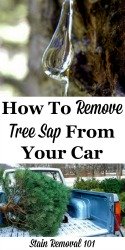how to remove tree sap from your car