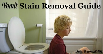 Vomit stain removal guide