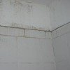 mildew in bathroom