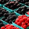 blackberries and raspberries