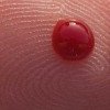 blood on fingertip macro