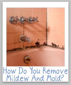 Tips for cleaning and removing mildew and mold from hard surfaces {on Stain Removal 101}