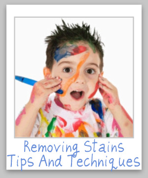Top 10 tips for removing stains of any type from any surface {on Stain Removal 101}