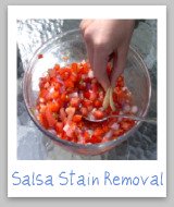 salsa stain