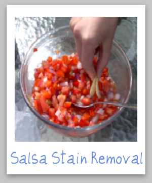 Step by step instructions for salsa stain removal from clothing, upholstery and carpet {on Stain Removal 101}