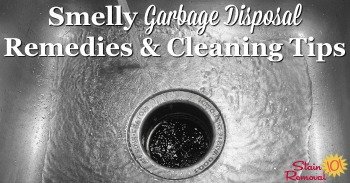 Smelly garbage disposal remedies and cleaning tips