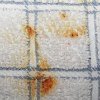 spaghetti sauce stain