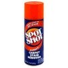 spot shot carpet stain remover, aerosol