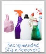 recommended stain removers