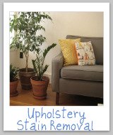 upholstery stain removal