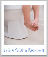 urine stains