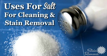 Uses for salt for cleaning and stain removal