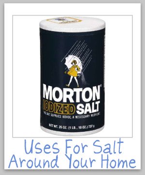 Didn't know there were so many uses for salt around the house for cleaning and even stain removal. Frugal and natural! A great combination! {on Stain Removal 101}