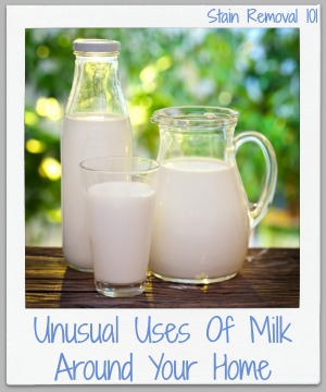 unusual uses of milk around your home