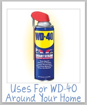 10+ ways to use WD-40 in and around your home for cleaning, stain removal and home maintenance {on Stain Removal 101}