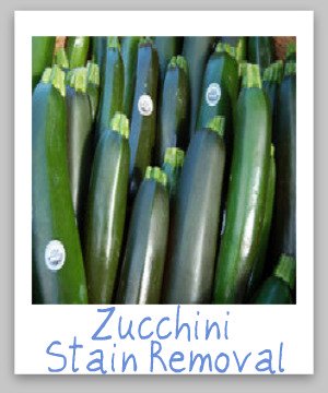How to remove zucchini stains from clothing, upholstery and carpet {on Stain Removal 101}