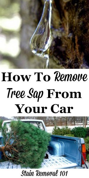 Lots of tips and tricks, plus product recommendations and DIY remedies to remove tree sap from your car exterior {on Stain Removal 101}