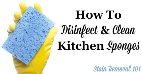 How to clean and disinfect kitchen sponges in two different ways {on Stain Removal 101}