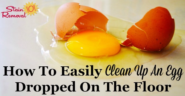 Simple trick for how to clean up an egg that you've dropped on the floor {on Stain Removal 101} #CleaningTips #KitchenCleaning #CleaningHack