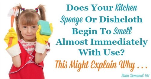 Does Using Dawn Cause Smelly Sponges?