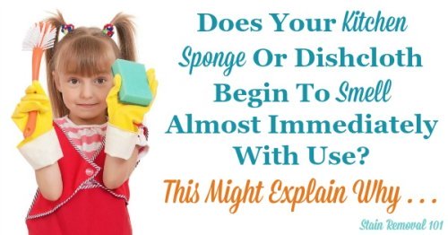 Does your sponge or dish cloth begin to smell almost immediately, despite cleaning it regularly? Your soap may be to blame. This happens with lots of soaps, but there have been a LOT of complaints about Dawn. Read lots of comments and stories from readers here to see if you can identify something similar happening in your kitchen. {on Stain Removal 101}