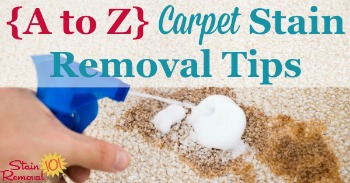 {A to Z} carpet stain removal tips