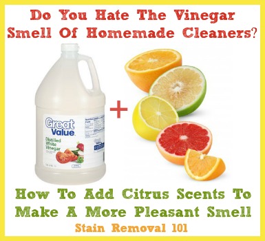 Citrus & Lemon Vinegar Mixtures Take