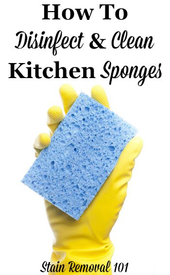 How to Clean a Sponge - Tips for Sanitizing Kitchen Sponge