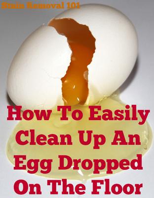 Cleaning Eggs - Trick For Cleaning Up Fresh Dropped Eggs