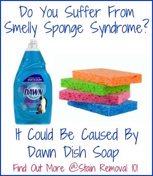 Same Dawn dish soap from the Dollar Tree less than a year later