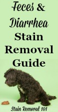 Feces Stain Removal And Diarrhea Stain Removal Guide