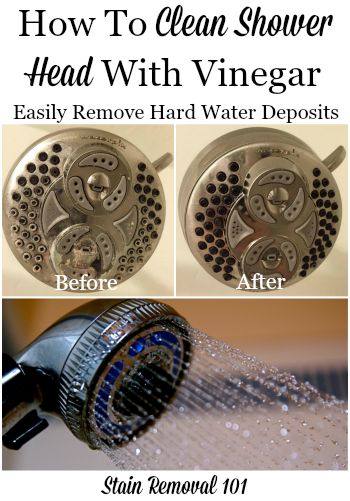 How to clean a shower head with vinegar to remove hard water deposits {on Stain Removal 101}