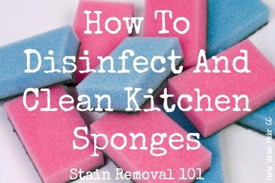 How to Disinfect Kitchen Sponge Bacteria - Practically Spotless