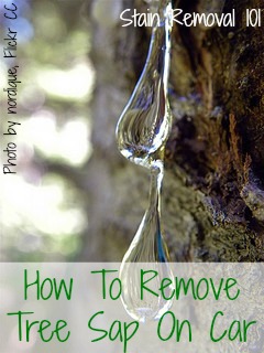 How To Remove Tree Sap From Your Car