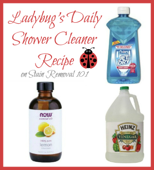 Best Homemade Shower Cleaner to Make it Sparkle - My Heavenly Recipes