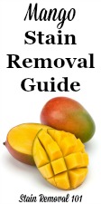Mango Stain Removal Guide