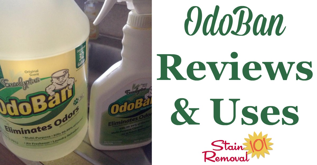 Odoban Odor Eliminator reviews and uses, for all around your home, for odor removal, cleaning, disinfecting and sanitizing, lots of household surfaces including washable items, fibers such as upholstery and carpet, as well as many hard surfaces {on Stain Removal 101} #OdorRemoval #Sanitizer #Deodorizer