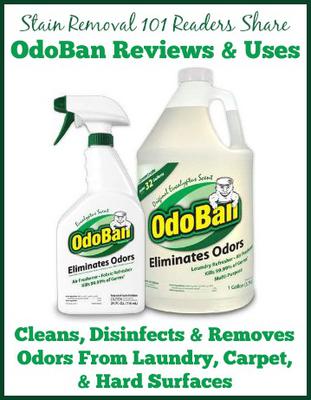 urine odor eliminator