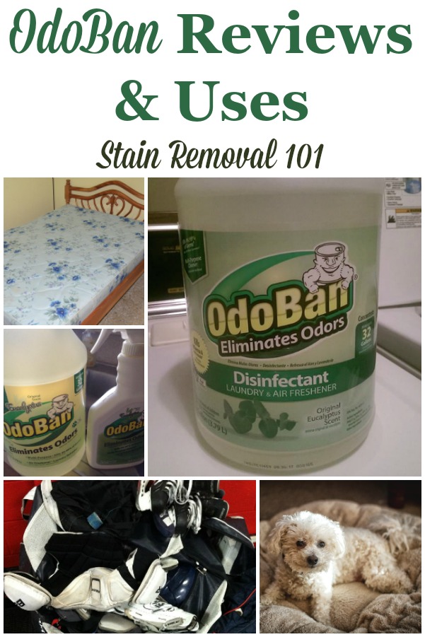 Odoban Odor Eliminator reviews and uses, for all around your home, for odor removal, cleaning, disinfecting and sanitizing, lots of household surfaces including washable items, fibers such as upholstery and carpet, as well as many hard surfaces {on Stain Removal 101} #OdorRemoval #Sanitizer #Deodorizer