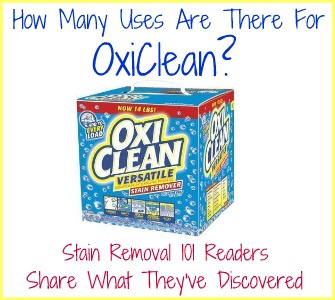 oxyclean for dog urine odor