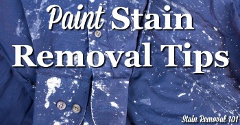 Paint stain removal tips