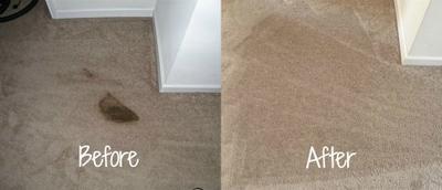 Cleaning Vomit Stains From Carpet Tips Home Remes