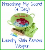presoaking, my secret laundry stain removal weapon