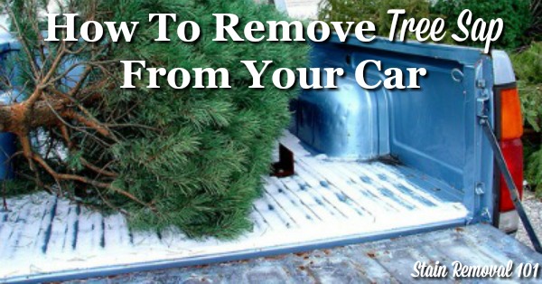 Lots of tips and tricks, plus product recommendations and DIY remedies to remove tree sap from your car exterior {on Stain Removal 101}