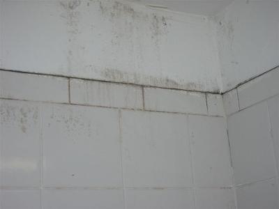 Cleaning And Removing Mold Mildew In Bathroom