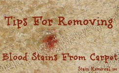 tips for removing blood stains from carpet
