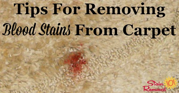 Tips for removing blood stains from carpet {on Stain Removal 101}